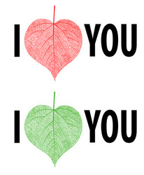 i love you lettering stylish text with leaf vector