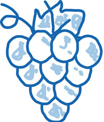 grape wine berry doodle icon hand drawn vector