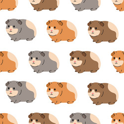 seamless pattern with different colored guinea pig vector image