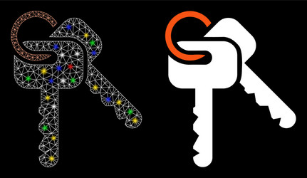 flare mesh carcass keys icon with spots vector image