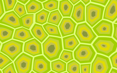 abstract modern turtle shell seamless pattern vector image