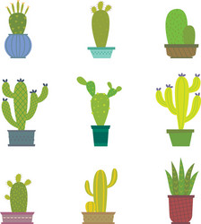 cactus collection Vector Image