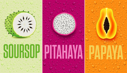 fresh juice drops background with soursop papaya vector