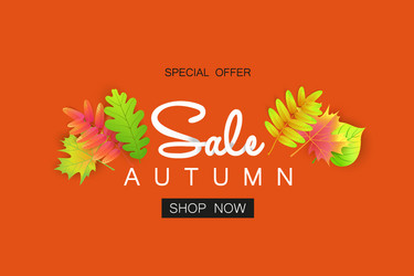 autumn sale banner with leaves for shopping vector