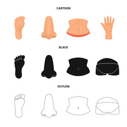 isolated object of body and part sign collection vector