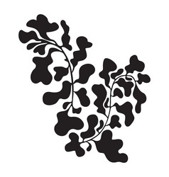 floral abstract design in black color Vector Image