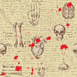 Anatomy seamless pattern with draw human organs Vector Image
