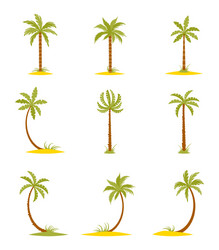 set of colored palms in a flat style vector image