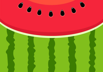 Background red texture of juicy watermelon vector