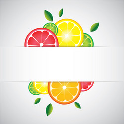 citrus fruits ornament frame with space for text vector image