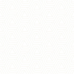 Subtle Lattice Texture Pattern vector image