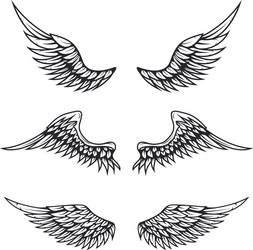 set of vintage wings isolated on white Vector Image