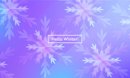 hello winter layout with snowflakes for web site vector image