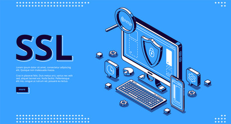 landing page ssl certificate for website vector image