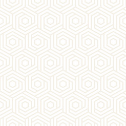 Subtle Geometric Lattice Pattern vector image