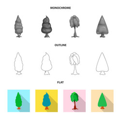 isolated object of tree and nature icon set vector image