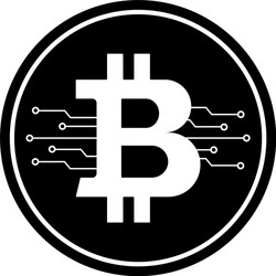 Bitcoin icon with micro scheme vector