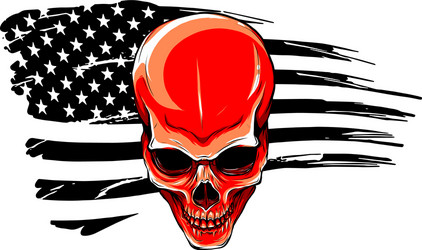 Skull with American Flag Vector Image