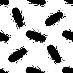 Seamless pattern with firefly beetle lampyridae vector