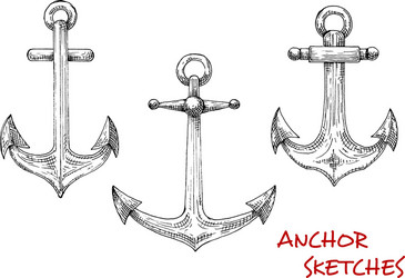 Vintage isolated admiralty anchors sketches vector