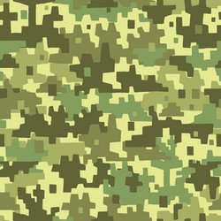 Military Camouflage Pattern Vector Image