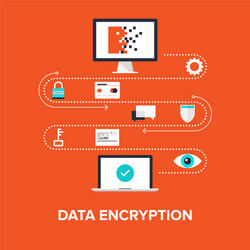 Data Security & Encryption vector image
