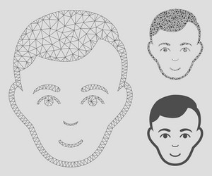 face mesh 2d model and triangle mosaic icon vector image