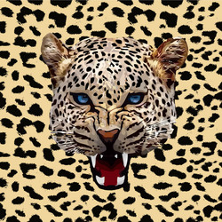 Leopard pattern vector