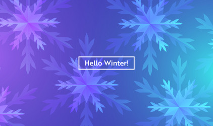 hello winter layout with snowflakes for web site vector