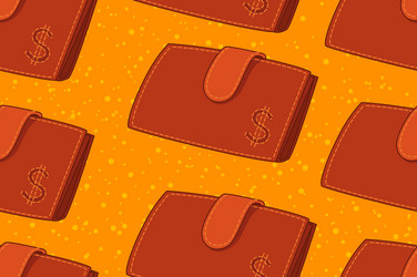 Wallet with Dollar Sign Pattern vector image