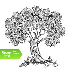 Magic ornamental tree Royalty Free Vector Image