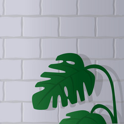 image with background for text in web design vector image