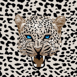 leopard pattern vector image