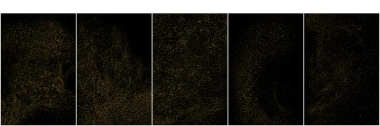 Golden Glitter Texture - Black Background Vector Image