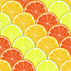 orange lemon and grapefruit slices vector