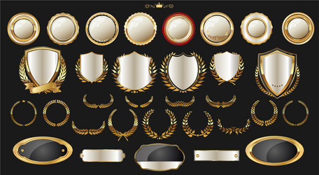 luxury gold and silver design elements collection vector