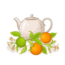 orange tea vector