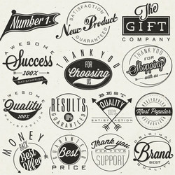vintage design elements and emblems Vector Image