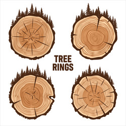 round tree trunk cuts with trees and forest sawn vector image