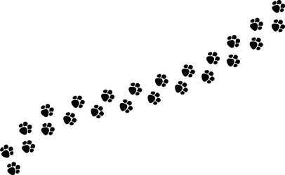Isolated Dog & Cat Paw Prints Vector Image
