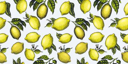Lemon tree seamless pattern hand drawn Royalty Free Vector