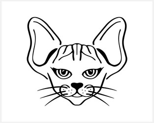 Skinny Cat Vector Images (49)