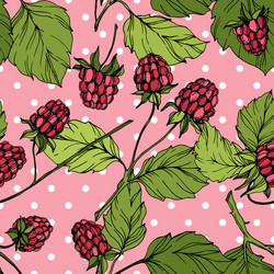 Raspberry Pattern with White Dots vector image
