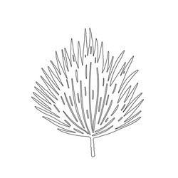 branch black Vector Image