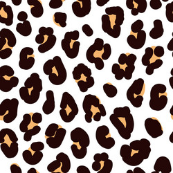 Leopard Print Pattern vector image