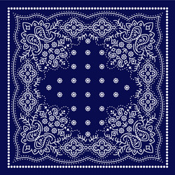 Paisley Bandana Print Vector Image