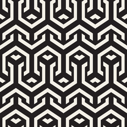 Interlaced Lines Geometric Pattern vector image