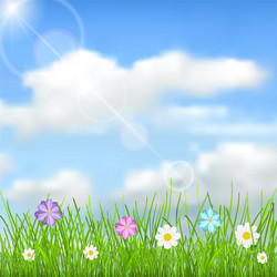 Background with sky clouds grass and flowers vector