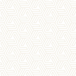 Subtle Hexagonal Pattern vector image