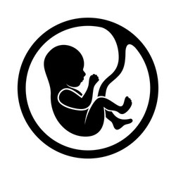 Fetus icon isolated on white background Royalty Free Vector